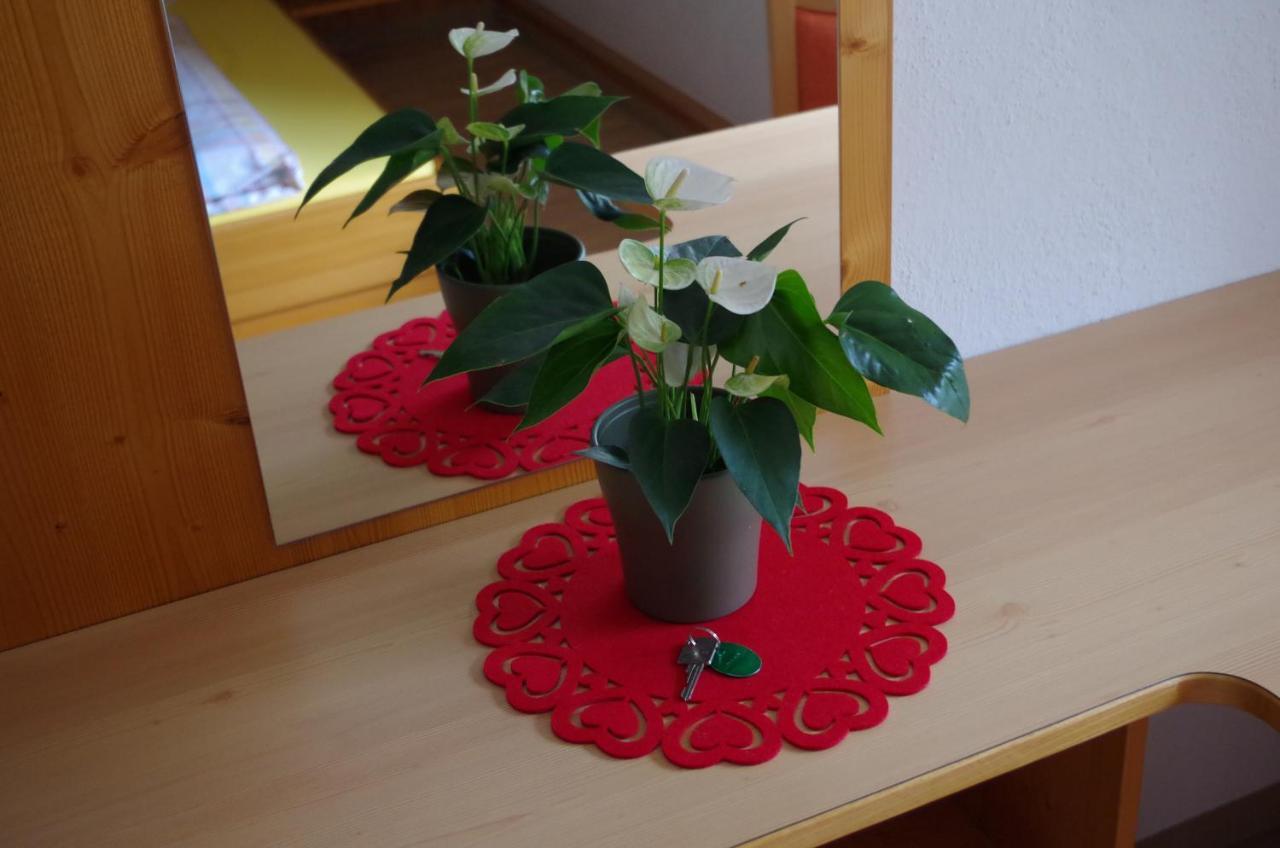 Sonnenkogel Appartement Galtuer Luaran gambar